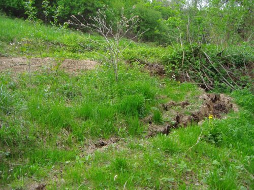 Sesuv půdy na Přecestném nad Žlebem - 7.5.2006